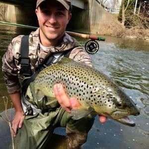 Meet your Posher, Ryan